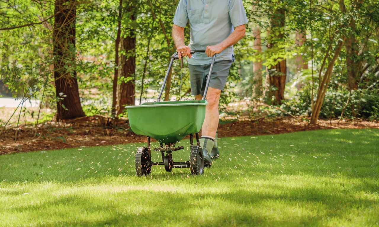 Fertilization - Ken & Sons Landscaping